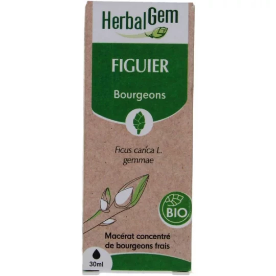 HerbalGem Figuier Bio 30 ml
