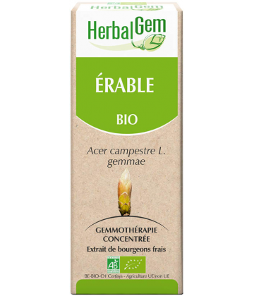 HerbalGem Erable Bio 30 ml