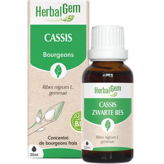 HerbalGem Cassis Bio 30 ml