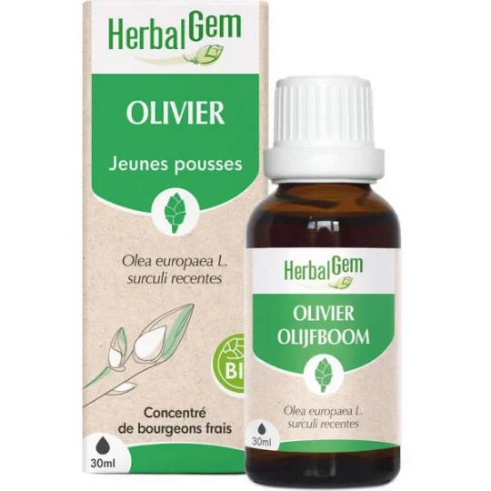 HerbalGem Olivier Bio 30 ml