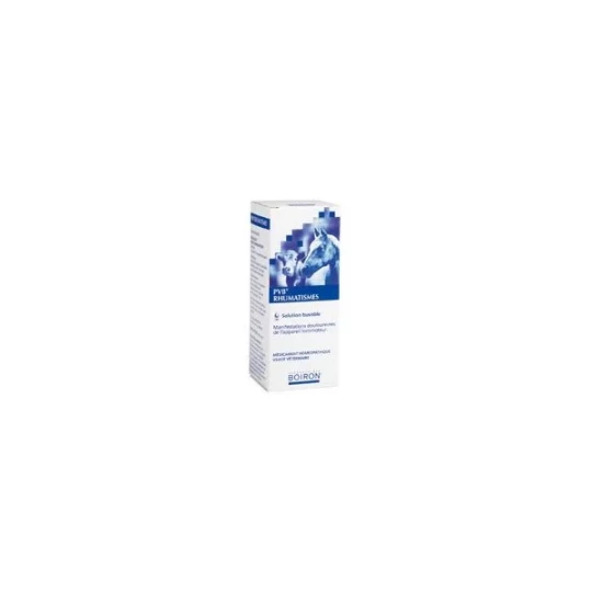Boiron Rhumatyl GA 1 L
