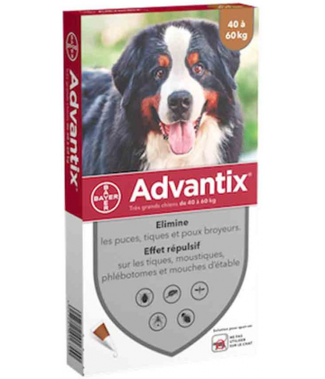 Advantix Très Grands Chiens 40-60 kilos