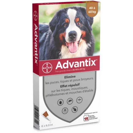 Advantix Très Grands Chiens 40-60 kilos