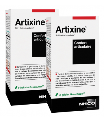 NHCO Artixine 2 x 56 gélules