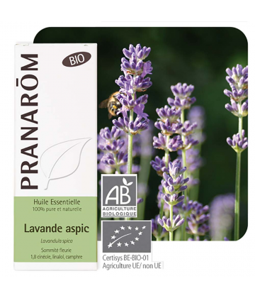 Pranarôm Huile Essentielle Lavande Aspic Bio 100 ml