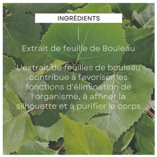 Weleda Jus de Bouleau Bio - image 4