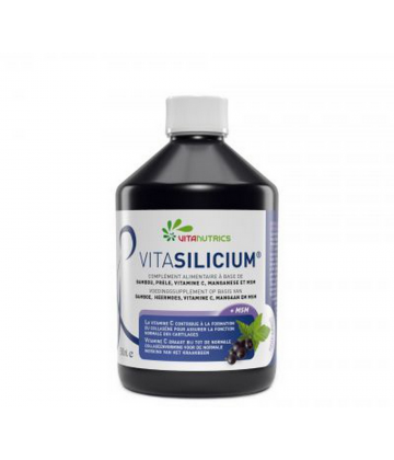 Vitanutrics VitaSilicium 500 ml