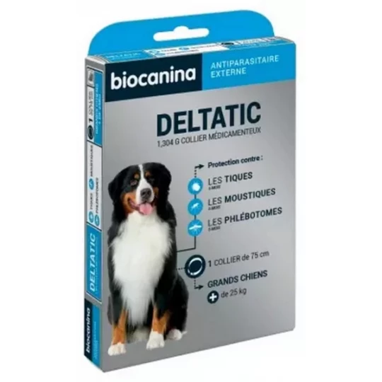 Clément Thékan Deltatic Collier Chien - image 2