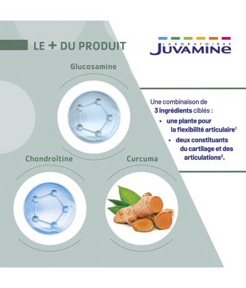 Juvamine Curcuma Chondroïtine Glucosamine x 40