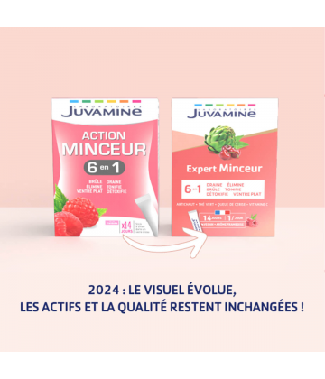 Juvamine Cocktail Minceur 6 Actions x 14