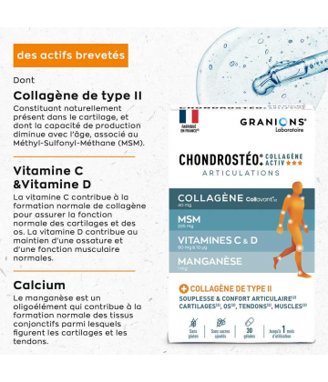 Granions Chondrostéo Articulations Collagène Activ x 30 - image 4