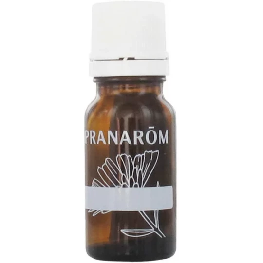 Pranarôm Flacon Compte Goutte Vide 10 ml