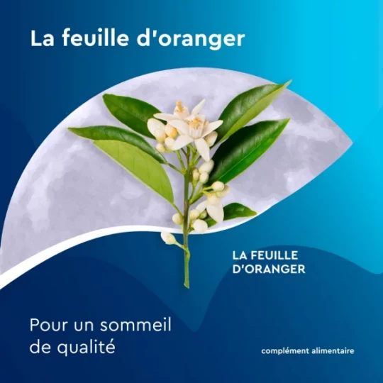 Euphytose Nuit Sommeil Mélatonine et Feuille d'Oranger Sachets à Infuser x 20 - image 2