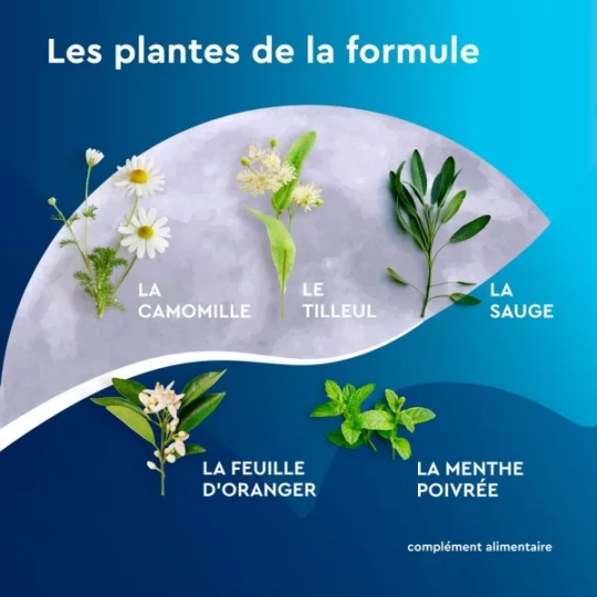 Euphytose Nuit Sommeil Mélatonine et Feuille d'Oranger Sachets à Infuser x 20 - image 3