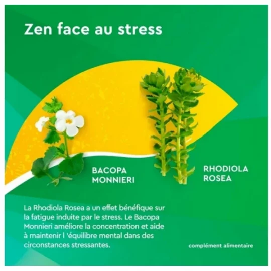 EuphytoseStress Concentration Comprimés x 30 - image 6