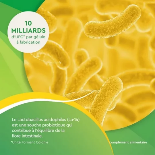 EuphytoseStress Digestion - Stress et confort intestinal - Probiotiques, mélisse, vitamine B2 2x14 comprimés - image 5