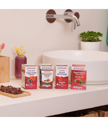 Juvamine Phyto Vigne Rouge Cassis Comprimés