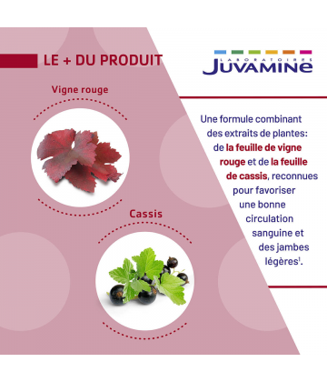 Juvamine Phyto Vigne Rouge Cassis Comprimés