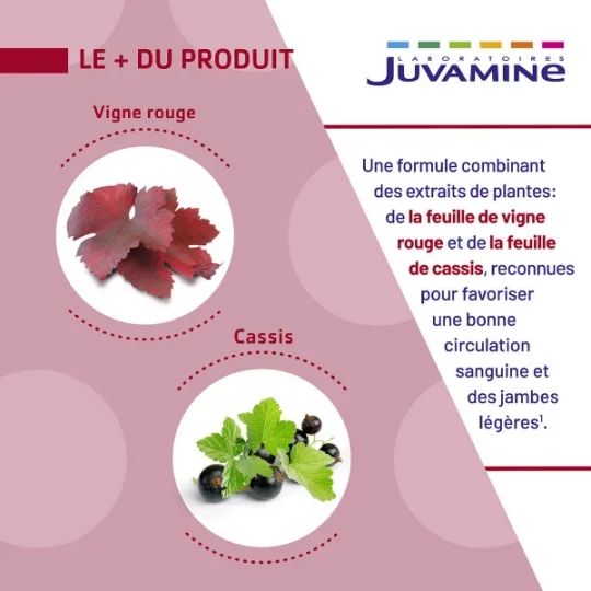 Juvamine Phyto Vigne Rouge Cassis Comprimés - image 7