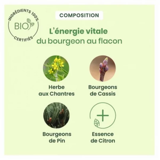 Herbalgem Gommes Chantres Miel Citron Bio x 24 - image 3