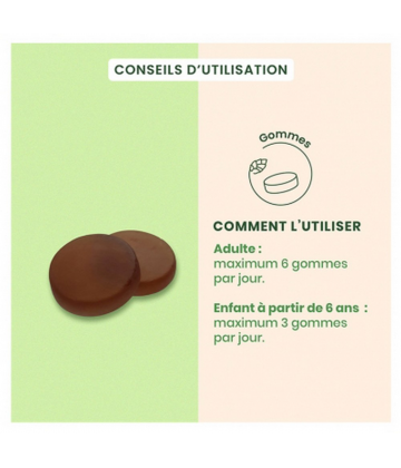 Herbalgem Gommes Chantres Miel Citron Bio x 24