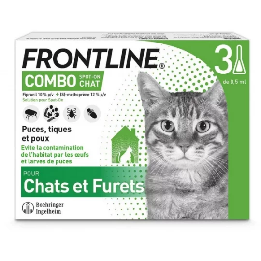 Frontline Combo Chat - image 2