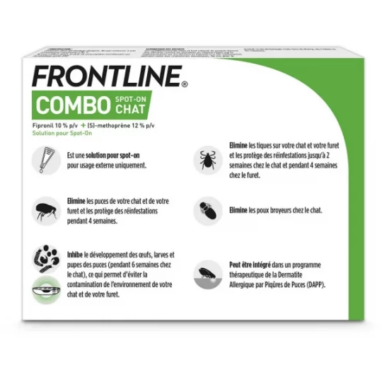 Frontline Combo Chat - image 3
