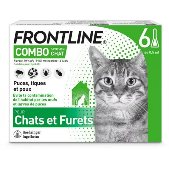 Frontline Combo Chat
