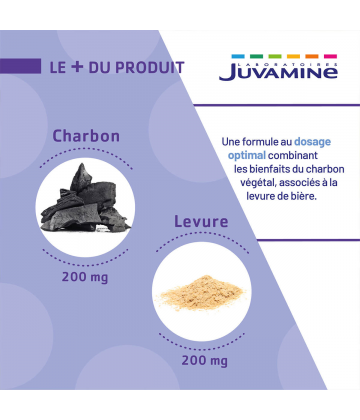 Juvamine Phyto Charbon + Levure