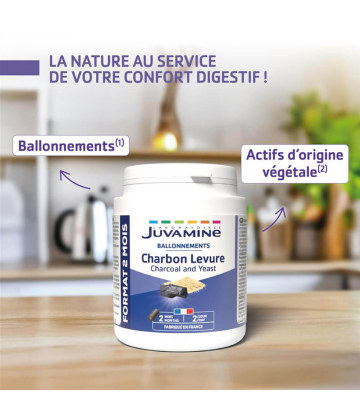 Juvamine Phyto Charbon + Levure