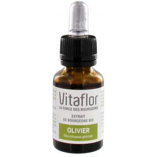 Vitaflor Extrait de Bourgeon d'Olivier Bio 15 ml