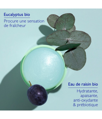 Caudalie Vinofresh Déodorant Stick Naturel 50 g