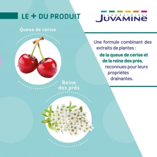 Juvamine Queue de Cerise Reine des Prés x 50 - image 4