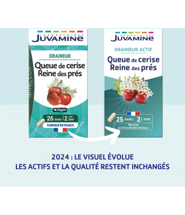 Juvamine Queue de Cerise Reine des Prés x 50