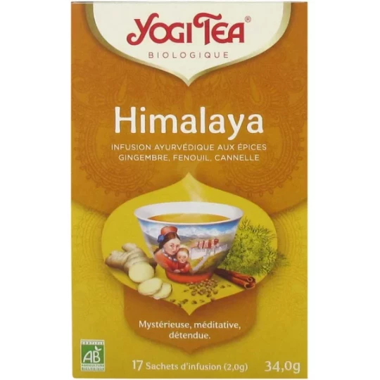 Yogi Tea Himalaya Infusion Ayurvédique aux Epices 34 g