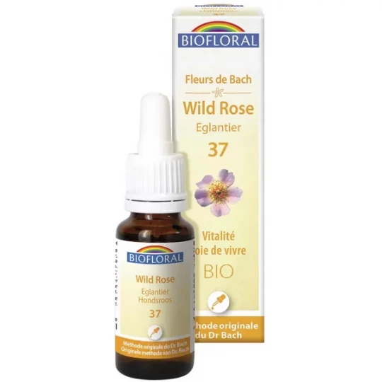 Biofloral Fleurs de Bach Wild Rose N°37 20 ml