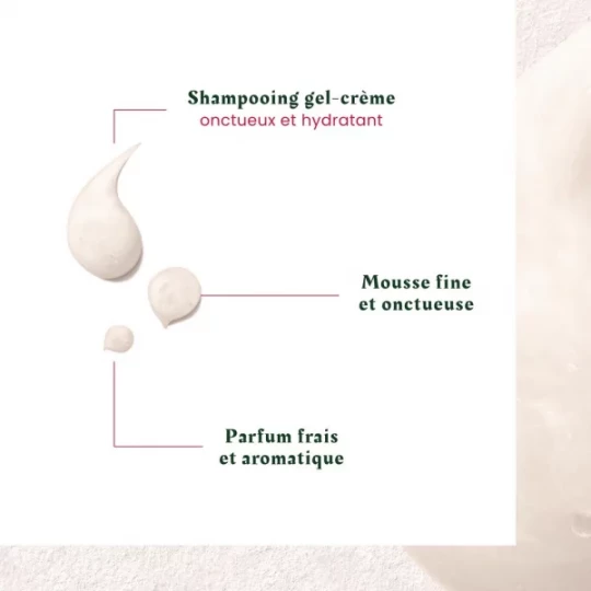 René Furterer Neopur Shampooing Antipelliculaire Cheveux Secs 150 ml - image 4