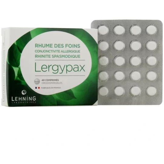Lehning Lergypax Comprimés Orodispersibles x 40