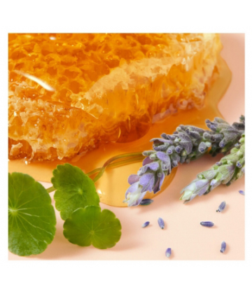 Nuxe Rêve de Miel Crème Main