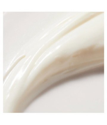 Nuxe Rêve de Miel Crème Main