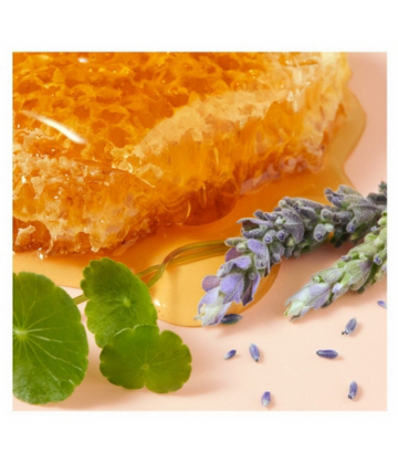 Nuxe Rêve de Miel Crème Main