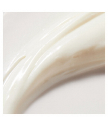 Nuxe Rêve de Miel Crème Main