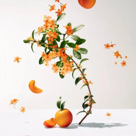 Roger&Gallet Eau Fraîche Fleur d'Osmanthus - image 11