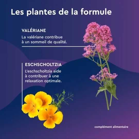 Euphytose Nuit Sommeil Mélatonine 1,9 mg Libération Prolongée Comprimés x 15 - image 2