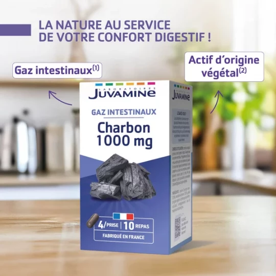 Juvamine Charbon 1000 mg x 40 - image 3