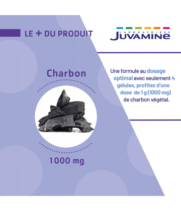 Juvamine Charbon 1000 mg x 40