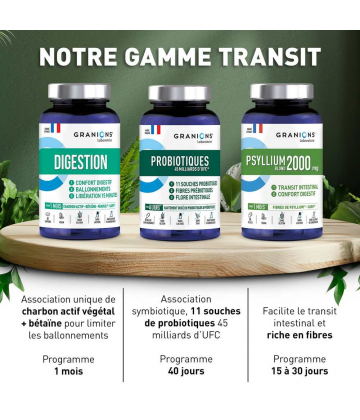 Granions Psyllium 2000 mg x 60