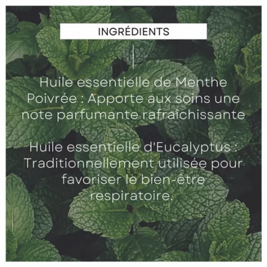 Weleda Déodorant Stick Eucalyptus Menthe Poivrée - image 5