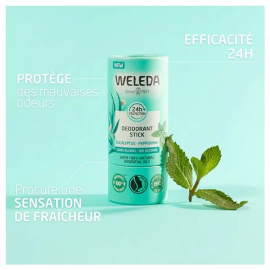 Weleda Déodorant Stick Eucalyptus Menthe Poivrée - image 6