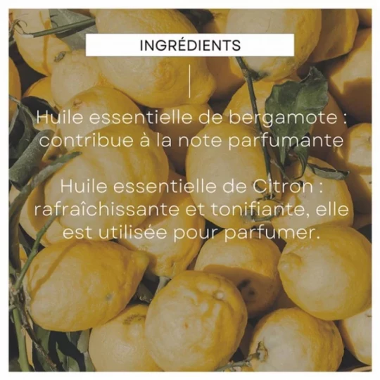 Weleda Déodorant Stick Citrus Bergamote Bio - image 5